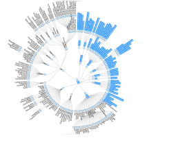 SMHS SciVisualization29.png