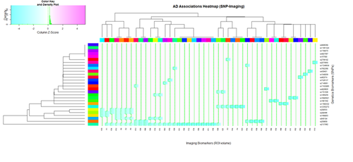 SMHS SciVisualization27.png