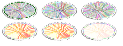 SMHS SciVisualization44.png