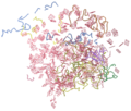 NISER 081107 ID Fig9.png